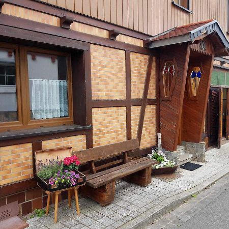 Ferienwohnung Am Kurpark Хассельфельде Экстерьер фото